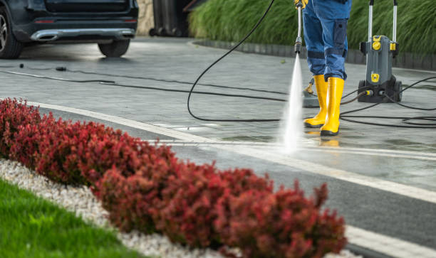 Best Driveway Pressure Washing  in Sky Valley, CA